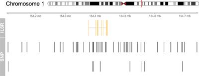 Downregulation of interleukin 6 signaling might reduce the risk of periodontitis: a drug target Mendelian randomization study